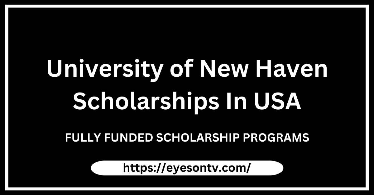 University of New Haven Scholarships